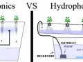 aeroponics-vs-hydroponics-visual-set-up-of-the-differences-in-the-systems-hydroponics-aquaponics-system-step-by-step